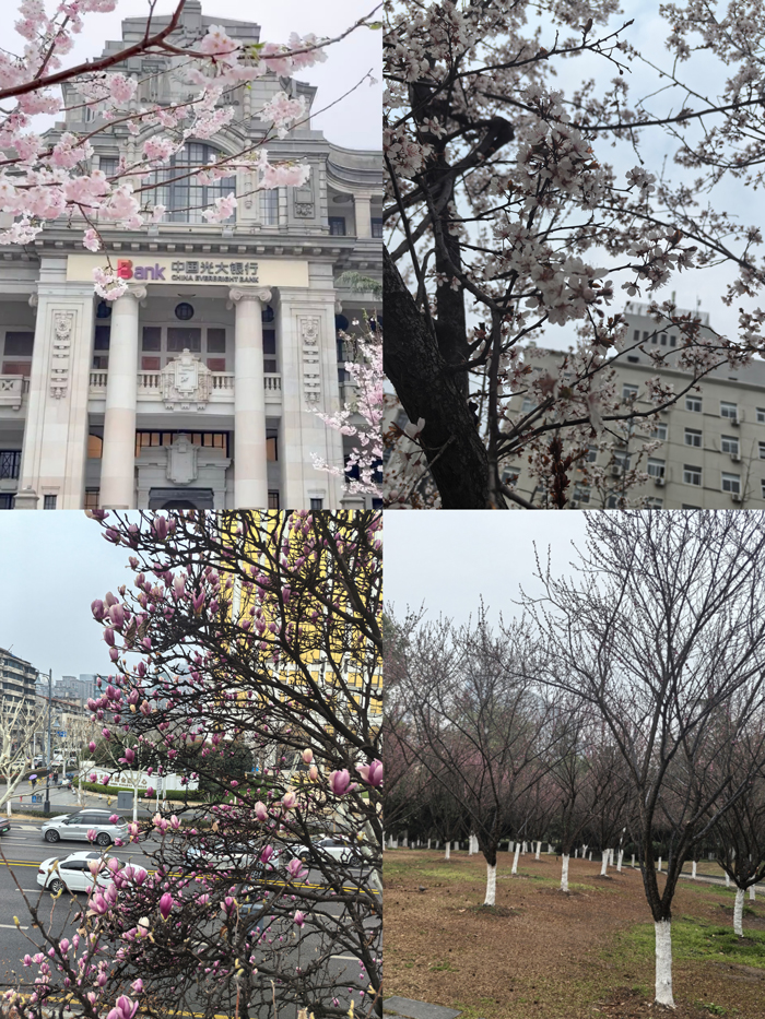 1742519837142166.jpg 1742202088671756.jpg